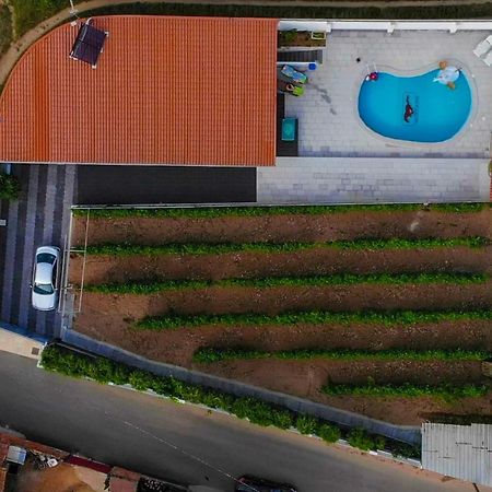 Casinha Das Bonecas - Casa Com Piscina Privada Aveiro Dış mekan fotoğraf